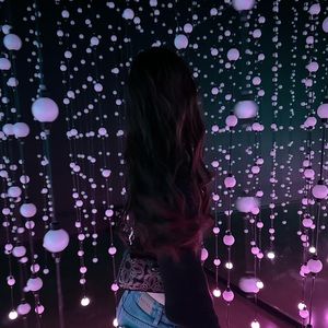 Meet your Posher, Lily